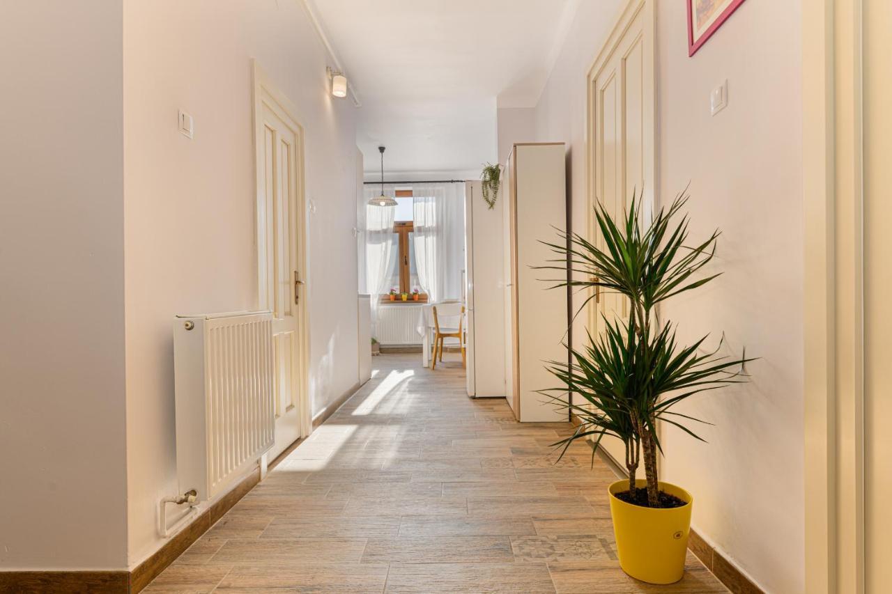 Chic&View Brasov Apartment Экстерьер фото