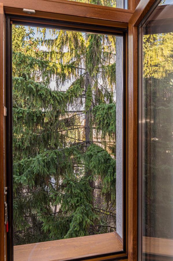 Chic&View Brasov Apartment Экстерьер фото