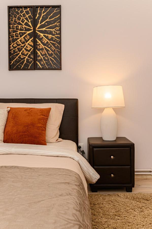 Chic&View Brasov Apartment Экстерьер фото